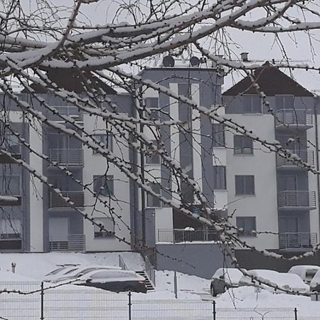 Apartament Szary Wilk Swieradow-Zdroj Ngoại thất bức ảnh