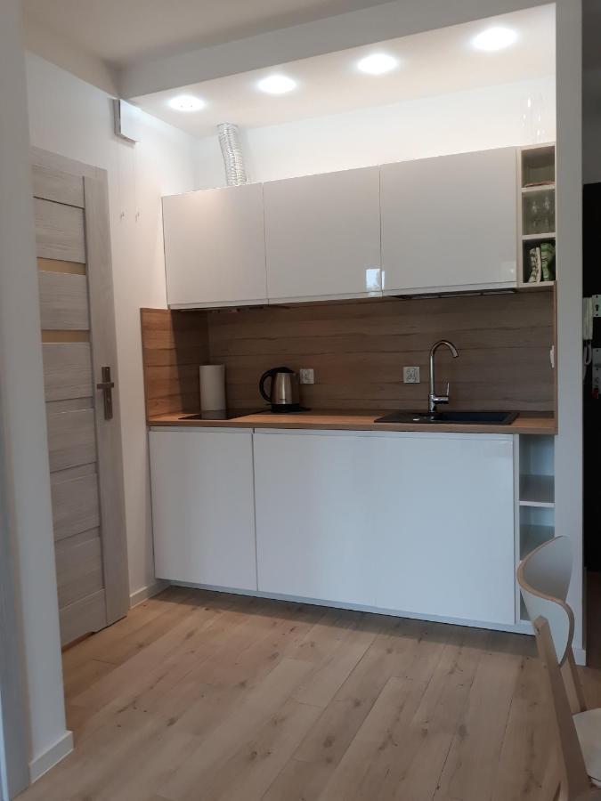 Apartament Szary Wilk Swieradow-Zdroj Ngoại thất bức ảnh